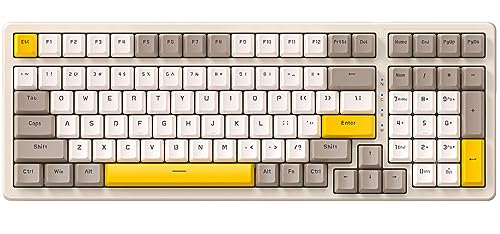 Ajazz Mechanical Gaming Keyboard,Hot Swappable Mechanical Keyboard with Numeric Pad,Compact USB Wired Keyboard 100 Keys Double-Shot ABS Keycaps,N-Key Rollover RGB Custom Keyboard for PC Mac(MX Red) - color: Cheese/Hot-swap Red Switch