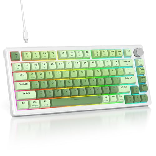 75% Green Mechanical Keyboard Gasket with Knob, Custom Wired Creamy Gaming Keyboard TKL 75 Percent Hot Swappable RGB Backlit, Pre-lubed Switch for Win/MAC, Green - color: Green Gradient/White Switch