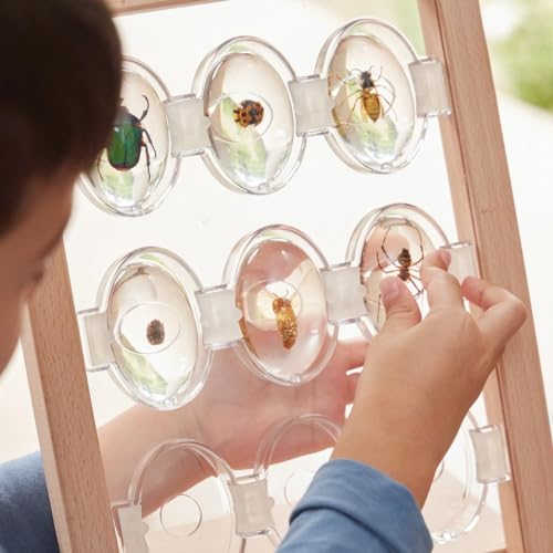 Kaplan Early Learning Company Specimen Stone Tabletop Stand