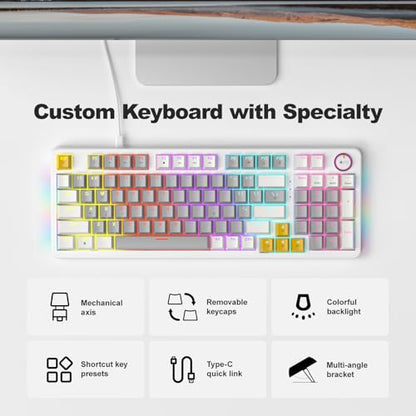 AK96 Mechanical Keyboard Smart Display & Knob, Top Mount 96% Wired Mechanical Keyboard USB-C, Hot Swappable, Software Support, Creamy Sounding, 96 Keys(Grey) - color: Gray