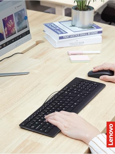 Lenovo 300 USB Keyboard, Wired, Adjustable Tilt, Ergonomic, Windows 7/8/10, GX30M39655, Black | Full-size office typing with wired USB connection and 1 year warranty - style: Keyboard