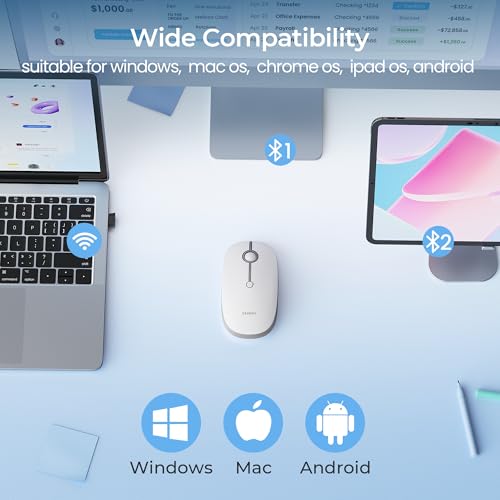 seenda MOU001 Bluetooth Wireless Mouse for Laptop,Slim Computer Mice,Silver | Rechargeable Computer mouse with USB and dual Bluetooth, 3-level DPI and quiet clicks for Windows, Macbook, iPad and Travel. - color: Silver