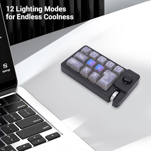 One Handed Mechanical Keyboard, 12 Key RGB Programmable Macro Keypad with Hot Swappable Switches, Knob and 2.4G Bluetooth Wired Connection for Gaming PC