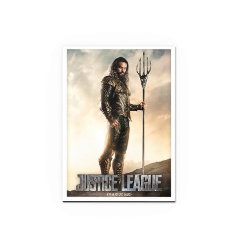 Dragon Shield | Matte Art Sleeves | 100 CT - Smooth & Tough Premium TCG Sleeves | Compatible with Pokemon, One Piece & Magic the Gathering | Aquaman Justice League - color: Justice League - Aquaman