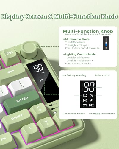 Womier DK75 75% Wireless Gaming Keyboard, RGB Backlit Creamy Keyboard with Media Knob, OLED Screen, Tri-Mode 2.4GHz/USB-C/BT5.0, Anti-Ghosting No-Conflict Silent Membrane Keyboard for MAC Windows - color: Green