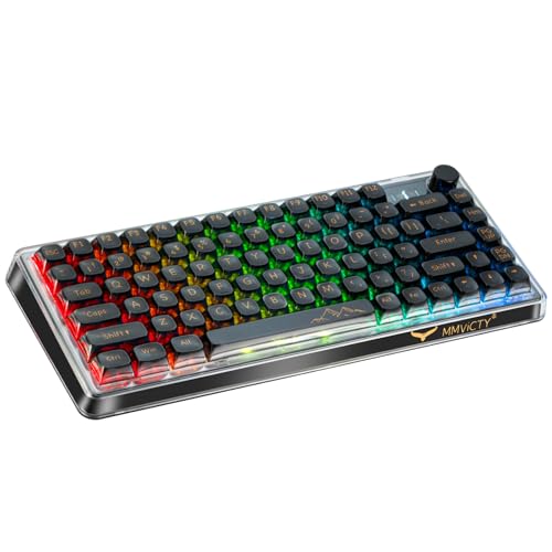 75% Hot‑Swappable Tri‑Mode Mechanical Keyboard, Wireless Bluetooth 5.0 2.4G USB‑C Gaming Keyboard with Volume Knob, Pre‑Lubed Linear Switch, RGB Backlit Metal Shell Compact Keyboard for PC Mac Gamers - color: Black