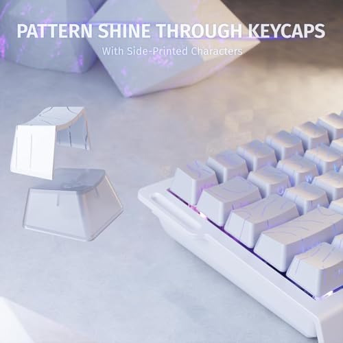 ATTACK SHARK X68HE RT Mechanical Gaming Keyboard 60% Wired TKL-WhiteContour | Adjustable Actuation,Hall Effect Magnetic Switch,8KHz Polling Rate,RGB Backlit,Top Mount,Side Printed Keycap for PC Mac Gamer - color: White Contour, size: Keyboard