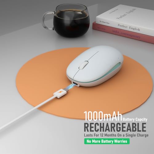 Wireless Mouse (Bluetooth+2.4G) Rechargeable Portable Silent Quiet Computer Mouse with 4000 DPI for Laptop/PC/Mac/MacBook/Chromebook/Surface Pro/iPad/Tablet Ambidextrous (White) - color: White