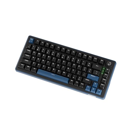 Ducky OK-M - 65% Wireless Mechanical Gaming Keyboard : Gasket-Mount Design, Hot-Swappable Switches, Five-Layer Acoustic Dampening, RGB, USB-C, 2.4Ghz, Bluetooth, Wine Red Switch - size: OK-M-65, style: KTT Wine Red Switch
