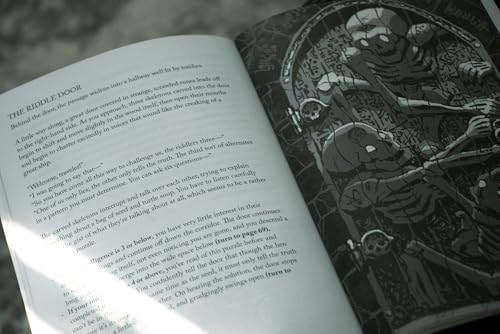 Into the Dungeon: A Choose-Your-Own-Path Book