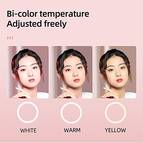 AMBITFUL Ring Light RL-480 18in Ring Light Lamp 60Ws 3000~6000K 480 Beads LED with 180cm Light Stand,Carrying Bag for Live Streaming/SLR Camera/Phone Video Shooting (2PCS) - color: 18 inch