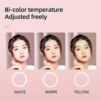 AMBITFUL Ring Light RL-480 18in Ring Light Lamp 60Ws 3000~6000K 480 Beads LED with 180cm Light Stand,Carrying Bag for Live Streaming/SLR Camera/Phone Video Shooting (2PCS) - color: 18 inch