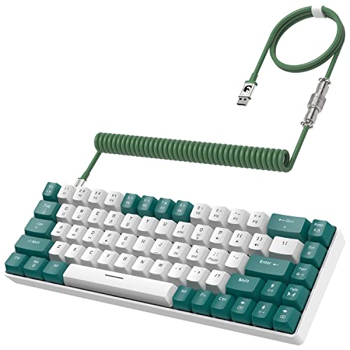 ZIYOU LANG RK-T8 Wired 65% Mechanical RGB Gaming Keyboard-Green/White | Rainbow Backlit,Anti-ghosting,TKL,Mini 68 Key,Custom Coiled C to A Cable,Tactile Blue Switch for PS4 PS5 Xbox PC Mac Gamer - color: Green White, size: 65% Keyboard