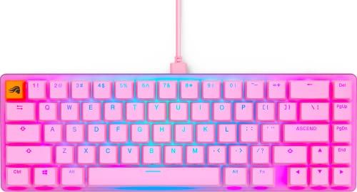 GLORIOUS Gaming GMMK 2- Pink Gaming Keyboard - TKL Mechanical - Custom 65% - Compact Low-Profile - Hotswap w/Cherry Mx Style - Double Shot Keycaps & Linear Switches - PC Gaming Setup Accessories - color: Pink, size: Prebuilt Compact (65%)