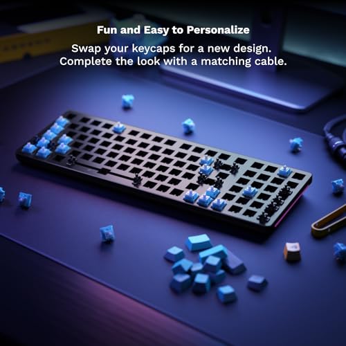 GLORIOUS GMMK 2 Gaming Mechanical Keyboard - Hotswap Cherry Mx Style Linear Switches- Full Size Wired Keyword- Double Shot Keycaps, RGB - PC Setup Accessories - 96%, Black
