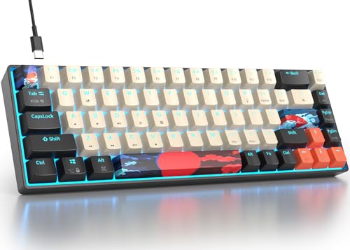 Fogruaden RGB Wired 60% Percent Keyboard Mechanical, 68 Keys Gaming Keyboard 60 Percent with Red Switch, Small Compact Mechanical Keyboard for Win/Mac Laptop PC Gamer (Carbon/68) - color: Red Switch/68Carbon