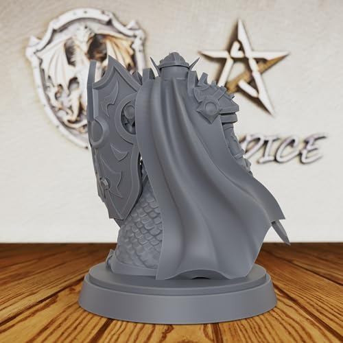 AUSPDICE Elf Paladin 28mm Unpainted Fantasy Miniature with Sword AS224 | Armored Elf Knight Figure with Sword and Shield for Dungeons and Dragons, TTRPGs, Fantasy Campaigns and Dungeon Masters