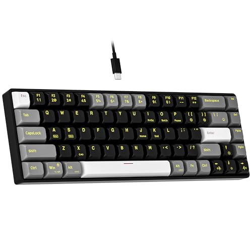 Newmen GM681 Wired Mechanical Keyboard,60% LED Backlit Gaming Keyboard | Wired Gaming Mechanical Keyboard,LED Backlit,Custom Hot Swappable,Ergonomic,Compact Small,USB Mini Computer Keyboard,PC Gamer - color: Black/White/Grey Keycaps