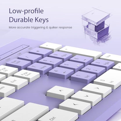 COLIKES Wired Keyboard, Ultra-Thin USB Wired Computer Keyboard, Low-Profile Keys, Spill-Resistant, Multimedia Keys, Compatible with Windows, Mac, Chrome, Linux, and Android-Purple - color: Purple