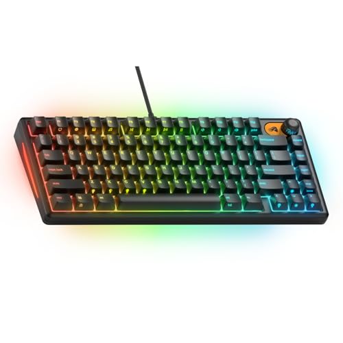 GLORIOUS Gaming Keyboard GMBK 75% - Swappable MX Compatible keycaps, Detachable USB Cable, IP57 Water and dust Resistant, 10 Zone RGB Lighting, Quiet switches - 321x137x41 mm - English QWERTY Layout - color: Black, size: GMBK Prebuilt (75%)