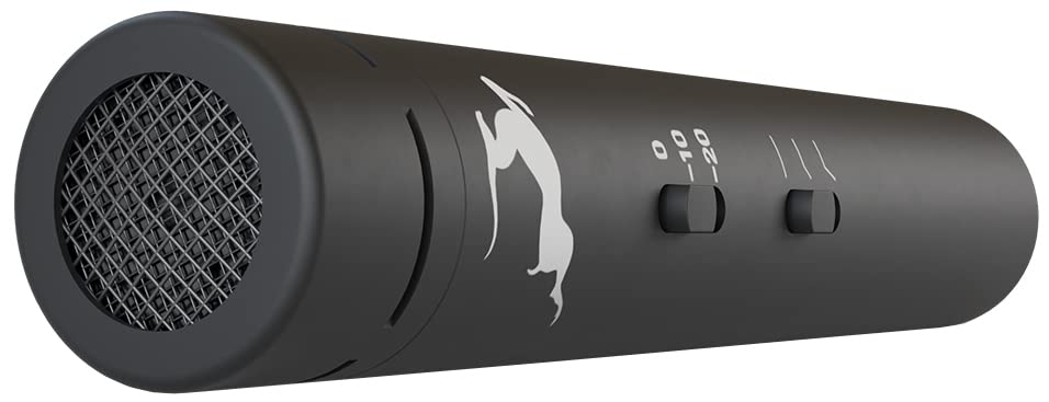 Antelope Audio Edge Note Small Diaphragm Condenser Microphone (2 Pack) | XLR Multipurpose Pencil Condenser, For Drums & Vocals, Professional Stereo Cardioid, Studio Recording & Live Sound, PC Gaming - size: Edge Note Pair Bundle