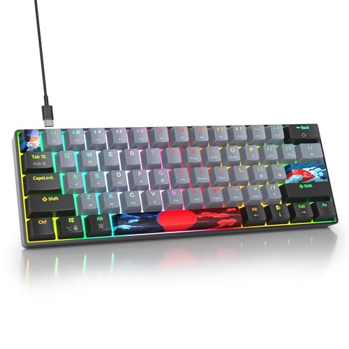 60% Mechanical Keyboard Wired Clicky Blue Switch RGB Backlight | 60 Percent 61-keys Compact Layout Gaming Keyboard TKL Ultra-Compact Mini RGB Backlit - color: 61 Dolch/Blue Switch