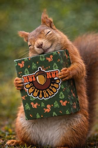nut nut Squirrel! - A Quick, Nutty Card Game for Kids & Families. Guard Your Nuts from Those Sketchy Squirrels in a Game Filled with Strategy and Surprise! | Multiple Award Winner | from PBN'J Games