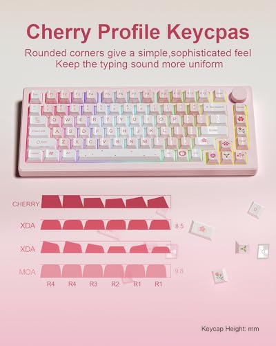 dagaladoo PBT keycaps Set, Cherry Profile Keyboard Keycaps Cute | Glossy Cherry Blossom key caps,Custom keycaps for 60% 65% 75% 100% Cherry-MX switch Mechanical Keyboard(Pink,134-keys) - color: Glossy Pink