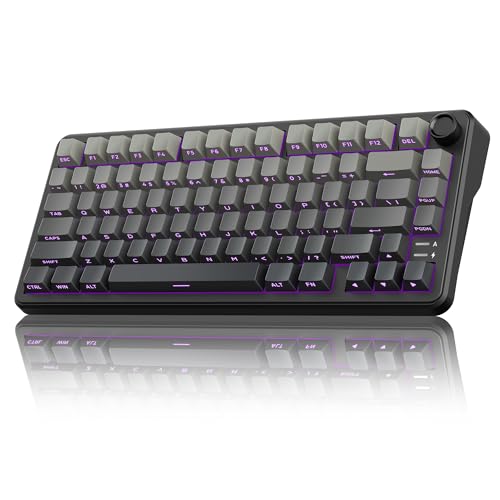 RedThunder K75 Wireless Mechanical Gaming Keyboard, 75% Hot Swappable Creamy Keyboard with Knob, RGB Backlit, Pre-lubed Linear Switches, Side Engraved PBT Keycaps, Wireless/Wired/BT5.0, Gradient Gray - color: Gradient Gray