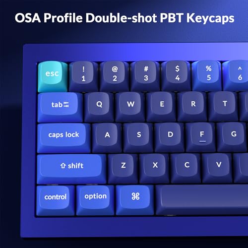 Keychron Q4 Wired Custom Mechanical Keyboard, QMK/VIA Programmable Macro, Full Aluminum, Hot-Swappable Gateron G Pro Blue Switch, 60% Layout Double Gasket Compatible with Mac and Windows - Blue - color: Blue (Gateron G Pro Blue Switch)