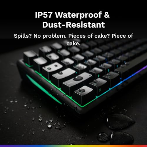 GLORIOUS Gaming Keyboard GMBK 75% - Swappable MX Compatible keycaps, Detachable USB Cable, IP57 Water and dust Resistant, 10 Zone RGB Lighting, Quiet switches - 321x137x41 mm - English QWERTY Layout - color: Black, size: GMBK Prebuilt (75%)