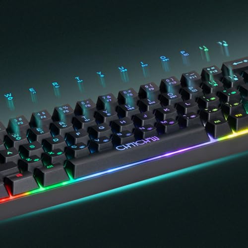 60% Gaming LED Keyboard RGB 68 Keys Layout Wired Keypad with 10 Preset Effects Mechanical Switch Feel Compatible with PC Mac Linux Xbox one PS4 PS5