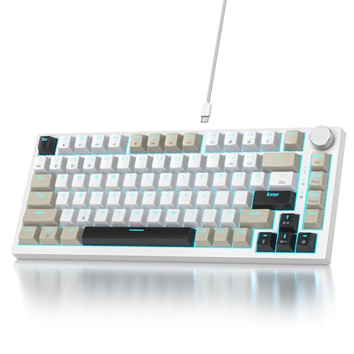 Owpkeenthy 75% Keyboard, 82 Key Gasket Mounted Mechanical Gaming, Wired RGB Backlit NKRO Compact Hot Swappable Keyboard with Volume Knob for PC Laptop (82 Gray White) - color: 82 Gray White