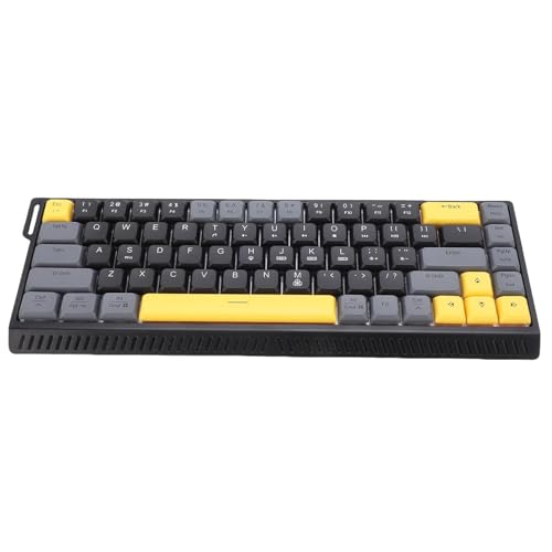Asixxsix Wired Computer Keyboard, Gaming Keyboard with Quiet Anti Ghosting, RGB Backlit, Slim 68 Keys, Scissor Switch, Mechanical Keyboard for Working or Primer Gaming,Office Device (Black Gray) - color: Black Gray