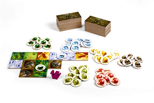 Tabletop Strategy Game, My First Kingdomino, Fun Kids & Adults Family Fantasy Board Game, 2-4 Players, Ages 5+, Dragomino by Blue Orange Games - style: Dragomino