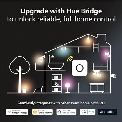 Philips Hue Smart Play Starter Kit - Two Black Hue Play Light Bars+Hue Bridge+Power Supply - For TV, Gaming and Room Decor, Control With App, Works With Voice Assistants