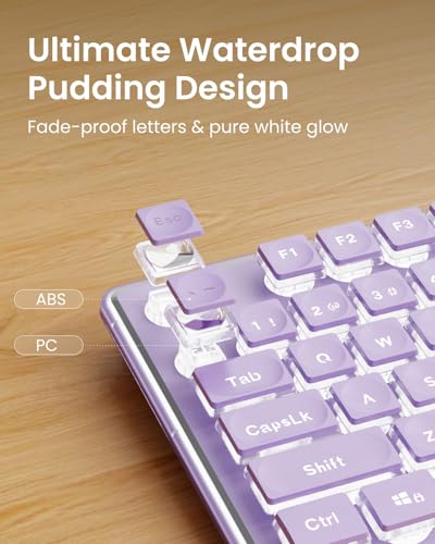 SEUNKWANG Wired Backlit Keyboard with Pudding Keycaps, Quiet Full Size Computer Keyboard White Backlight Easy-to-Read, Never Fade, Metal Panel, USB Cute Desk Setup for Windows PC Desktop, Purple - color: Purple