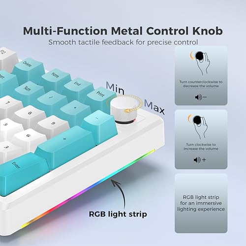 LUMI101 Wireless Mechanical Keyboard,Full-size keyboard with numeric keypad，Tri-Mode BT5.0/2.4GHz/USB-C Hot Swappable Custom Keyboard,RGB Backlit Computer Gaming Keyboards for PC/Tablet/PS/Xbox(Blue) - color: Blue