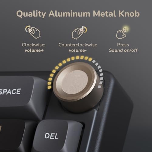 RK ROYAL KLUDGE R65 Wired Gaming Keyboard with Volume Knob, 60% Percent RGB Backlit Mechanical Keyboard Gasket Mount with PBT Keycaps, MDA Profile, QMK/VIA, 66 Keys Hot Swappable Cream Switch, Black - color: Black