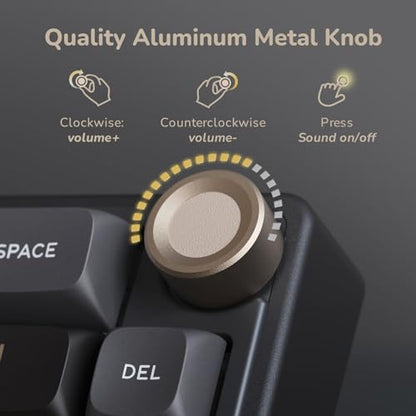 RK ROYAL KLUDGE R65 Wired Gaming Keyboard with Volume Knob, 60% Percent RGB Backlit Mechanical Keyboard Gasket Mount with PBT Keycaps, MDA Profile, QMK/VIA, 66 Keys Hot Swappable Cream Switch, Black - color: Black