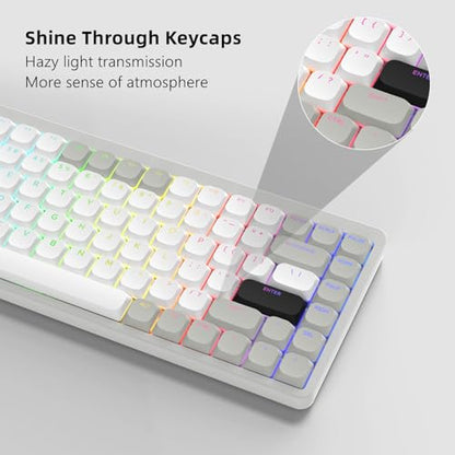 Womier Low Profile Keycaps - Shine Through Keycaps 60 65 75 100 Percent | Keyboard Key caps PBT Full Size for Cherry Gateron MX Switches Mechanical Keyboard, Grey/White - color: Grey