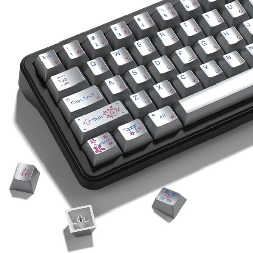 dagaladoo PBT keycaps Set,Cherry Profile Keyboard keycaps,Metal Coating | Retro key caps,Custom keycaps for 60% 65% 75% 100% Cherry-MX switch Mechanical Keyboard,Silver,130keys - color: Silver Metal Coating