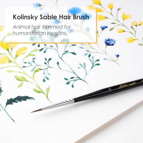 Kolinsky Sable Miniature Paint Brushes - Professional Artist Brush Size 0, Small Fine Detail Paint Brush Set for Mini Paints, Paint by Number, Figurine - size: 0