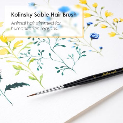 Kolinsky Sable Miniature Paint Brushes - Professional Artist Brush Size 0, Small Fine Detail Paint Brush Set for Mini Paints, Paint by Number, Figurine - size: 0