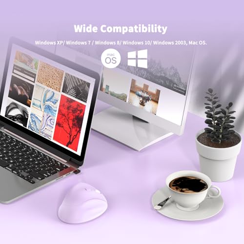Ergonomic Wireless Mouse with USB Receiver for PC Computer, Laptop and Desktop, Ergo Mouse Vertical with Silent Clicks Long Battery Life, Up to 1600 DPI & 1 AA Battery Powered, Purple - color: Purple, size: USB Wireless