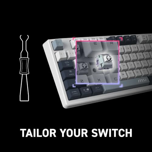 msi Forge GK600 TKL Wireless Sky - Mechanical Linear SWITCHES - Dye-Sublimated PBT Keycaps, Anti-Slip Base, RGB LED, USB 2.0, Bluetooth, 2.4 GHz - Tenkeyless - style: FORGE GK600 TKL W SKY US