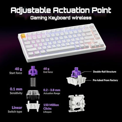 LEMOKEY P1 HE 75% Wireless Custom Mechanical Gaming Keyboard with Gateron Double-Rail Magnetic Switches Knob Version, QMK 2.4 GHz Bluetooth 5.2 RGB Backlight Compatible with Mac Windows Linux - White - color: Shine-Through-White