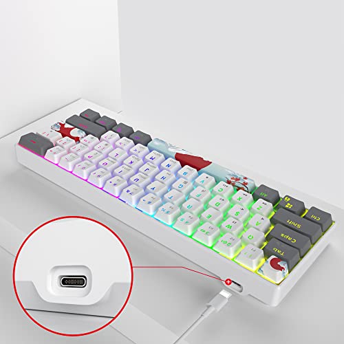 Owpkeenthy RGB Mechanical Keyboard 60 Percent Red Switches, Ultra-Compact Mini Wired Gaming Keybaord with Backlit PBT Dye-Sub Keycaps for Win/Mac/PC (White/Red Switch) - color: White/ Red Switch