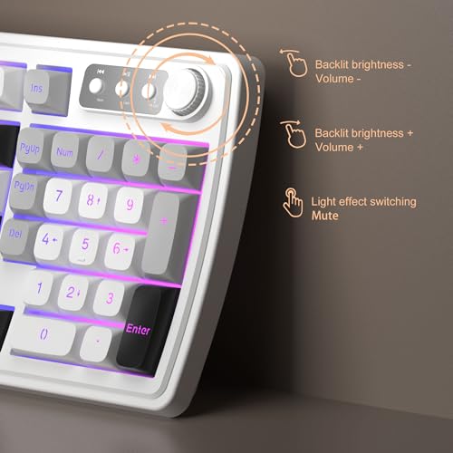 MageGee V990 Creamy Wireless Keyboard and Mouse Combo, 99 Keys RGB Backlit Rechargeable Quiet Gaming Keyboard, Adjustable Optical Mouse, with Number Pad, Keyboards Set for Desktop, Laptop, PC(White) - color: White