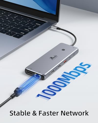 13 in 1 USB C Docking Station - Dual Monitor, Triple Display, 8 USB C/A Ports, Ethernet, Audio - LIONWEI USB C Hub for MacBook,Dell,HP,Lenovo,Surface - color: 13-in-1 Docking Station (USB C)
